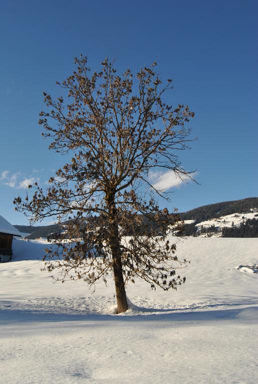 Trogerhof Lägenhet Toblach Exteriör bild