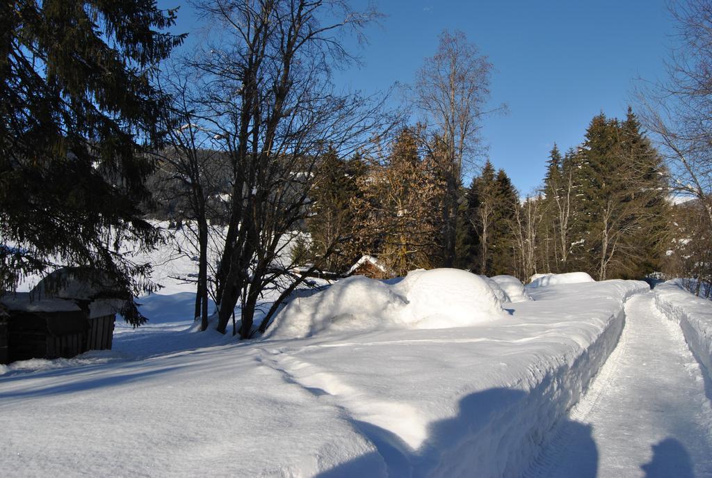 Trogerhof Lägenhet Toblach Exteriör bild