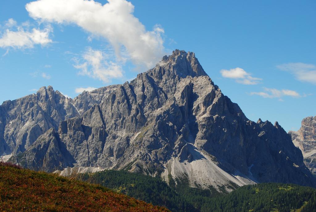 Trogerhof Lägenhet Toblach Exteriör bild