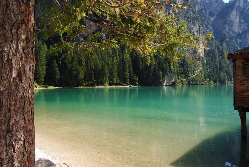 Trogerhof Lägenhet Toblach Exteriör bild